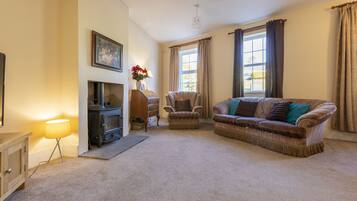 Télévision, cheminée, livres