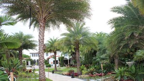 Un sendero bordeado de palmeras y plantas tropicales que conduce a un edificio con fachada blanca y ventanas en arco.