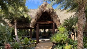 Un sendero de madera que lleva a una construcción con techo de paja, rodeada de plantas tropicales y palmeras.