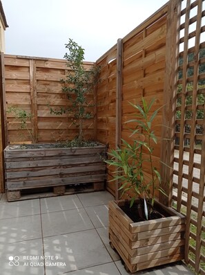 Property grounds - Loft Atypique Centre Corse (Morosaglia)