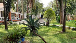 Un giardino curato con diverse piante in vaso, una piccola palma e un viale piastrellato.