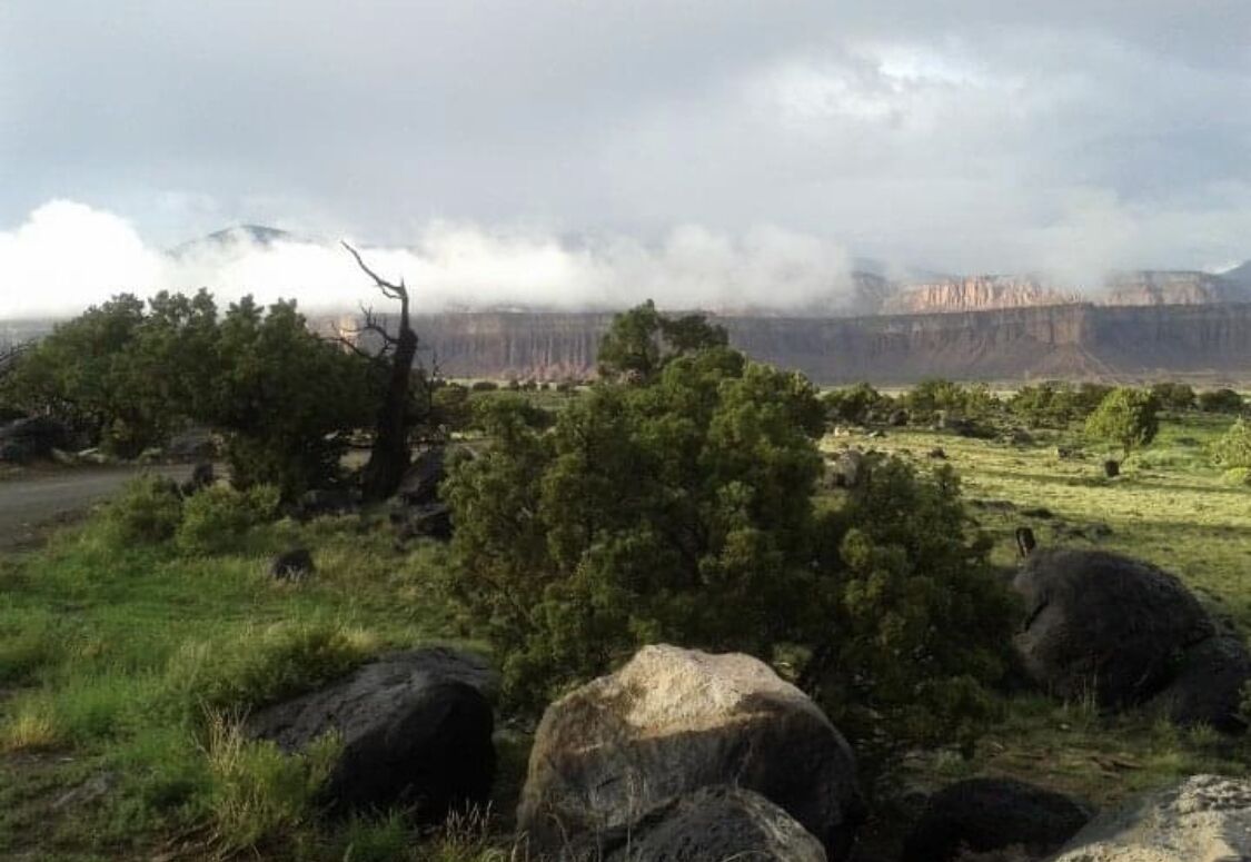A natural landscape with a mountain range in the background, a clear sky, and a grassy area with trees and rocks in the foreground.