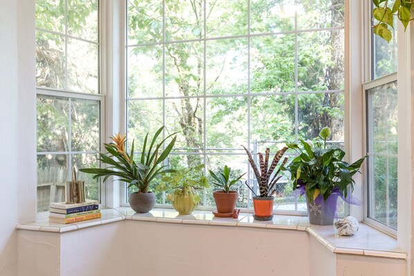 Une baie vitrée agrémentée de plusieurs plantes en pot et d’une étagère sur laquelle sont posés quelques livres.