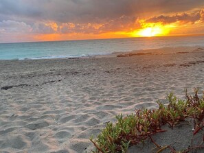 Plage à proximité, chaise longue, serviettes de plage