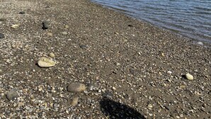 Una playa de guijarros con una estructura de madera a la izquierda y una costa arbolada al fondo.