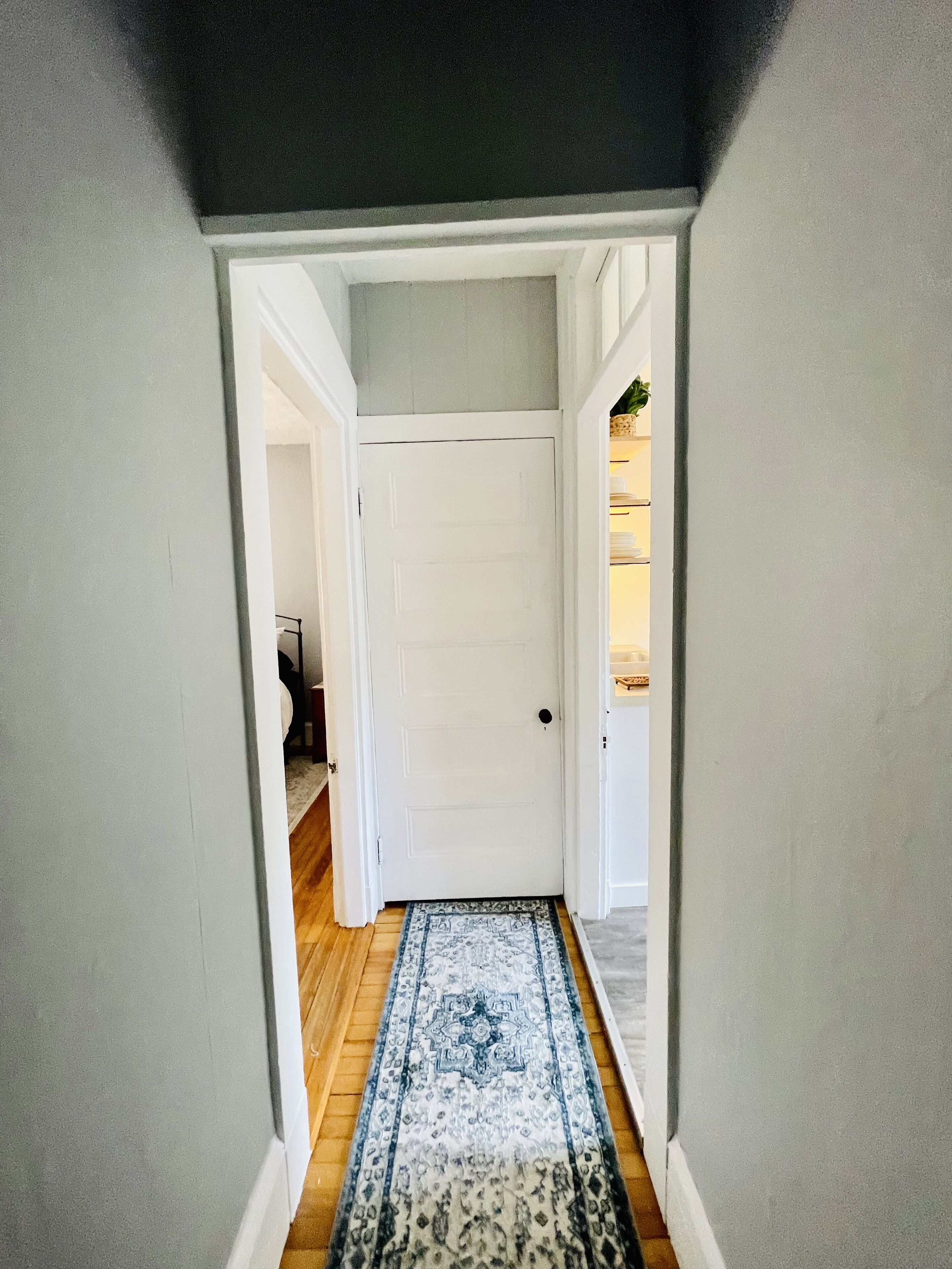 Un pasillo estrecho con una puerta blanca al final, un tapete estampado en el suelo y una planta en la pared derecha.