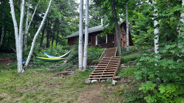 A wooden staircase leading to a cabin surrounded by trees. - Cottage with 40' Dock!  Beautiful lake with excellent fishing. (Port loring)