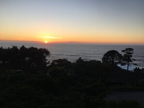 Beach/ocean view