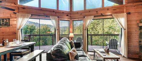 Smart-tv, pejs, videospil