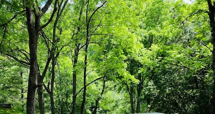 Pet-friendly, private, refuge. Monthly renters welcome. No extra fees.