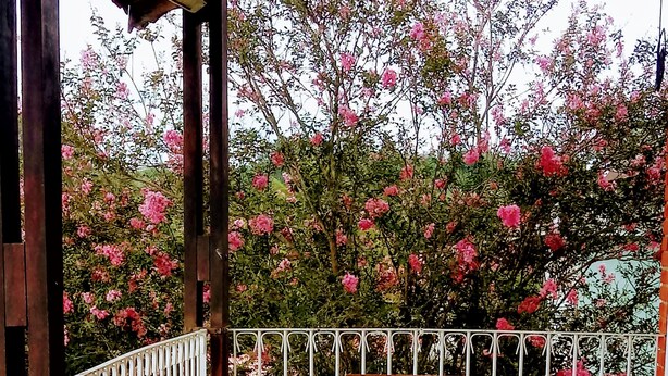 Un balcón con una mesa dispuesta para el desayuno, rodeado por una barandilla de metal blanco, y un jardín con flores rosadas al fondo.