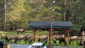 A gazebo with picnic tables and benches, surrounded by a forested area with elk grazing. - Private Rustic A-Frame in the Heart of Elk Country (Benezette)