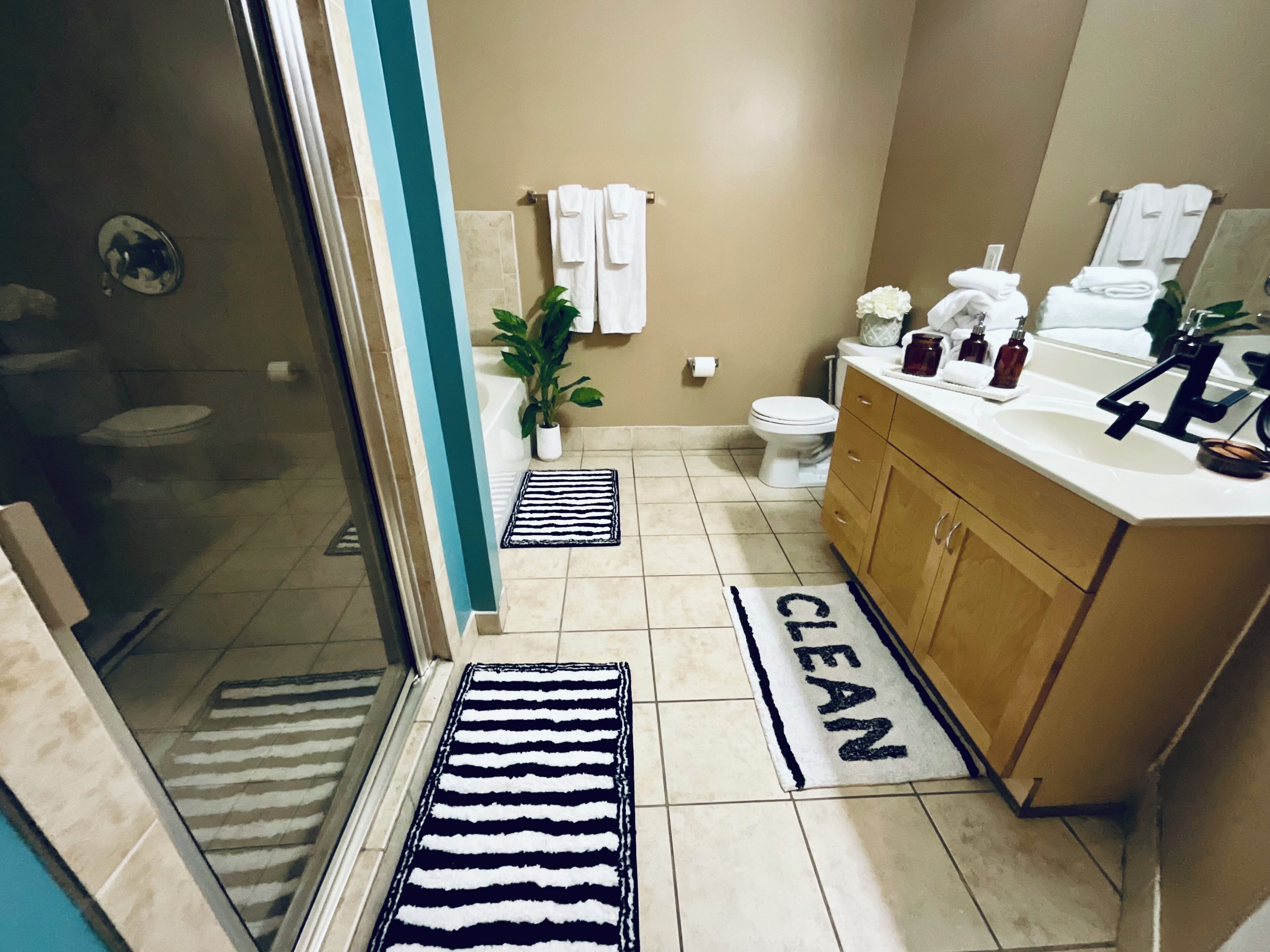 Bathtub, hair dryer, towels, toilet paper