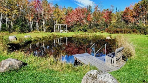 Un'incantevole paesaggio con un lago tranquillo, un molo di legno e un gazebo.