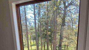 Ein Zimmer mit einem großen Fenster und Blick auf einen Wald. Es gibt ein Sofa mit Kissen und eine hölzerne Bank.