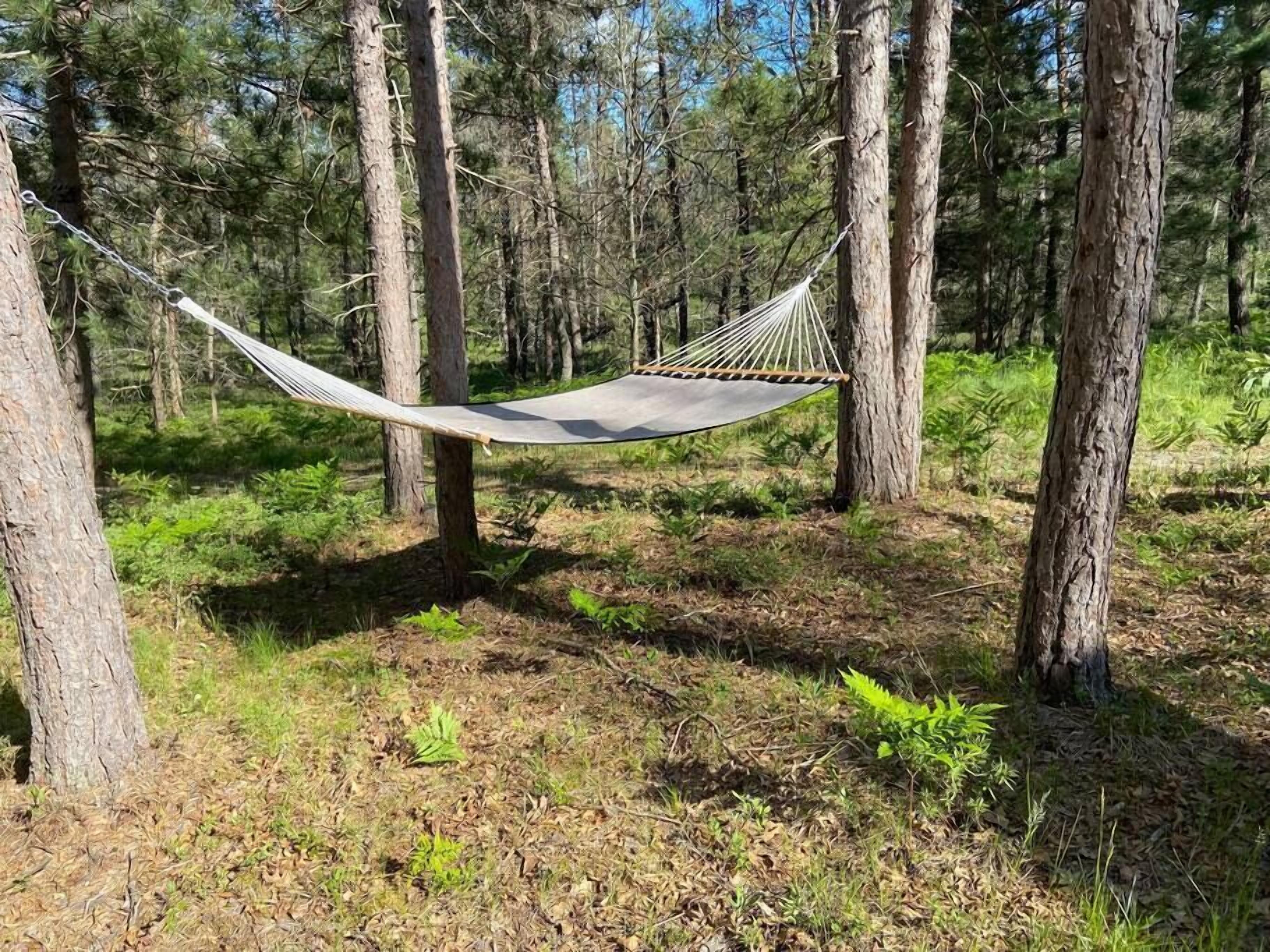Un hamac suspendu entre des arbres dans une zone boisée.