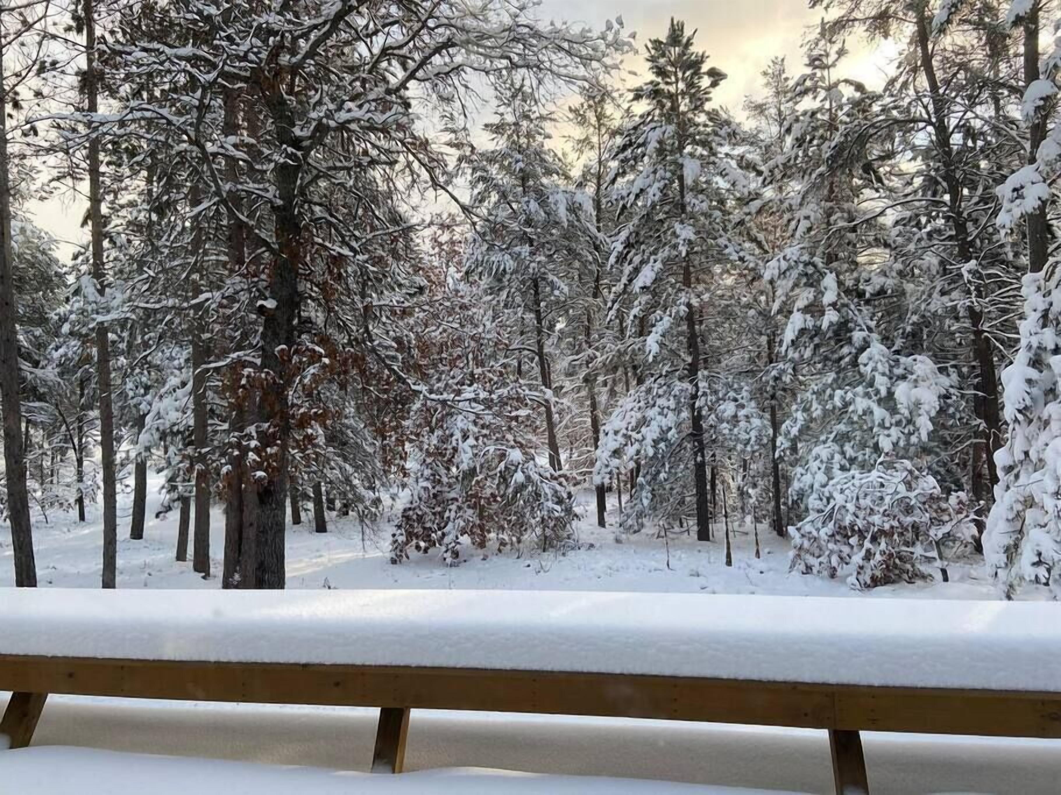 A snowy forest scene with a wooden bench in the foreground.