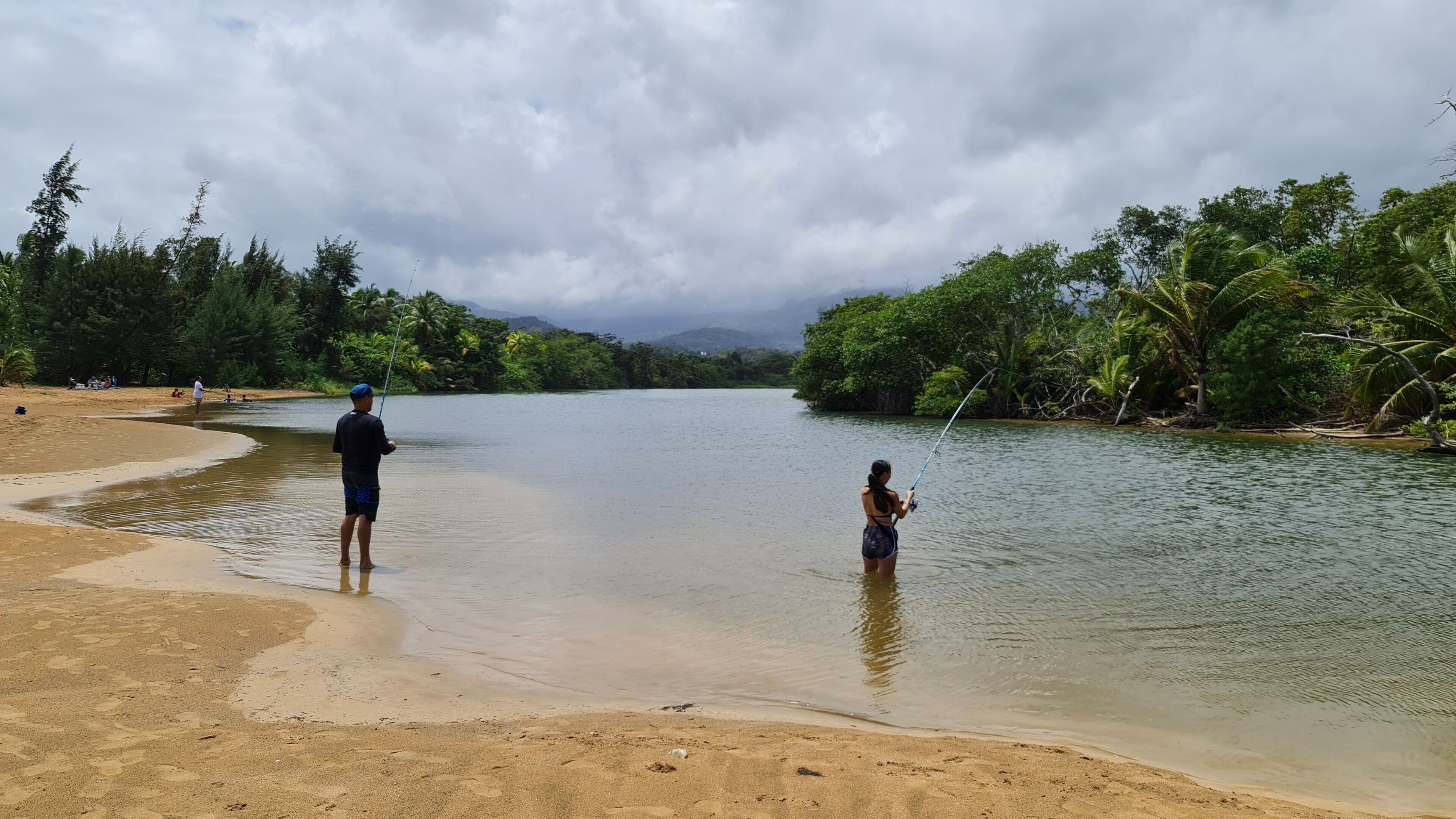 Una playa con un río tranquilo, árboles y un cielo nublado.