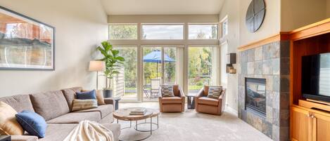 TV connectée, cheminée, lecteur de DVD, livres