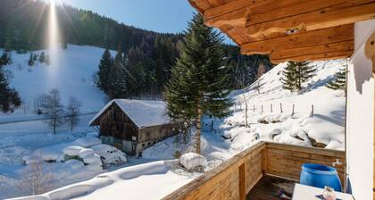 Pet-friendly apartment in sunny location