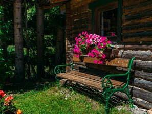 Exterior detail - Pet-friendly apartment in sunny location (Radstadt)