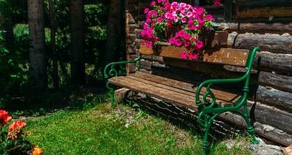 Pet-friendly apartment in sunny location