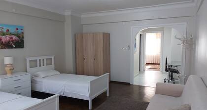 Triplex Detached House.