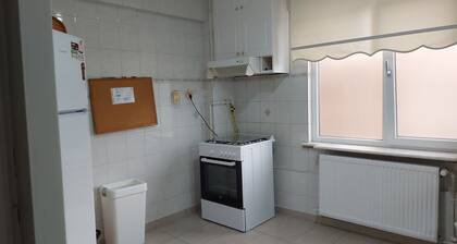 Triplex Detached House.