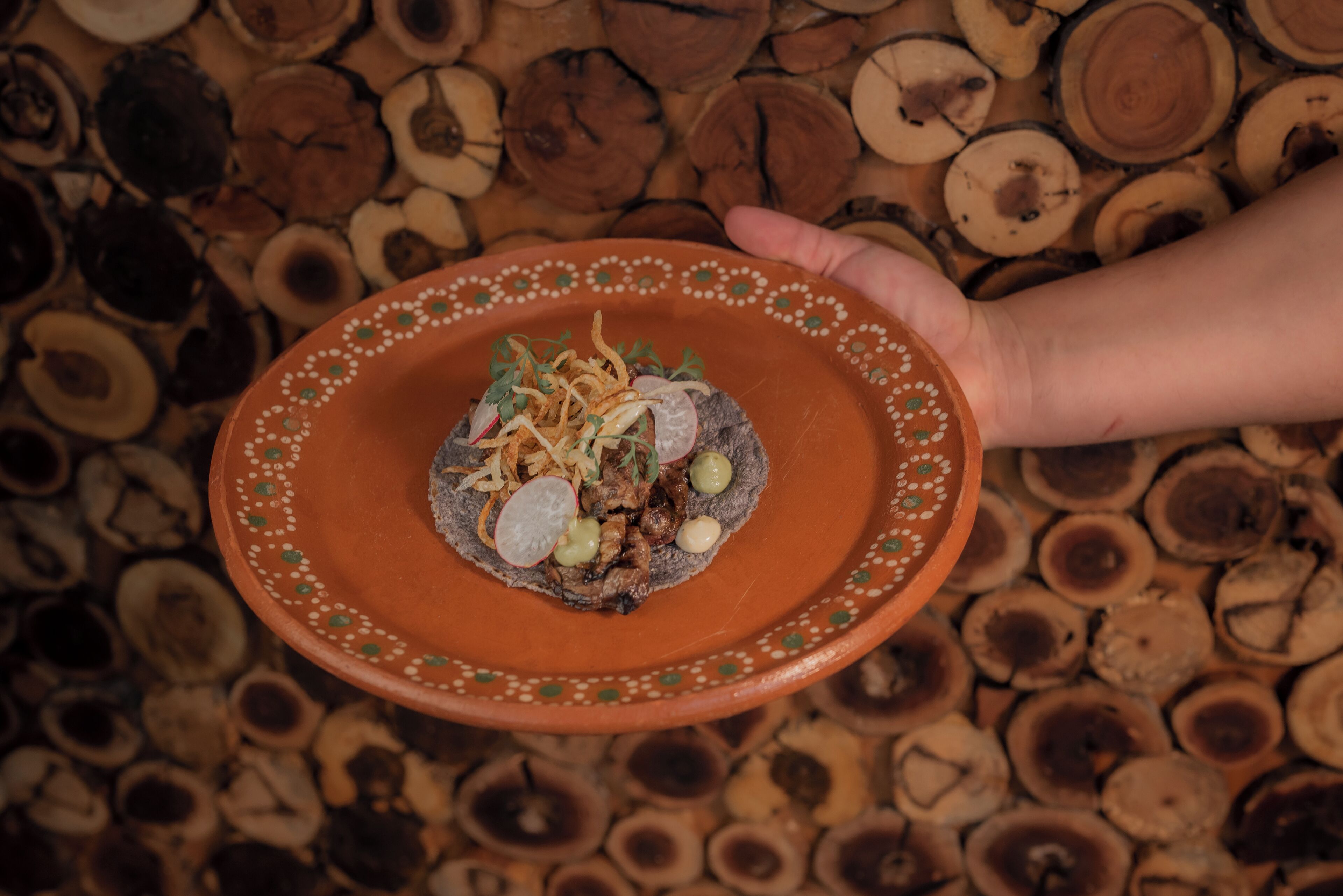 Eine Hand hält einen Terrakotta-Teller mit einer Portion Essen vor einer Holzstoß-Kulisse.