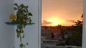 Loft, 1 habitación, fumadores, balcón | Jardines del alojamiento