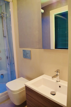 A modern bathroom with a shower, toilet, sink, and mirror. - Eco House Romantic Vigna - in Piedmont (Alba)