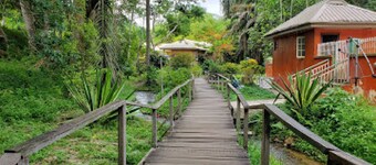 Room-ikogosi Warm Springs - Presidential