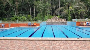 Ein Schwimmbad mit klarem, blauem Wasser, umgeben von einer Backsteindeck und einem weißen Zaun.