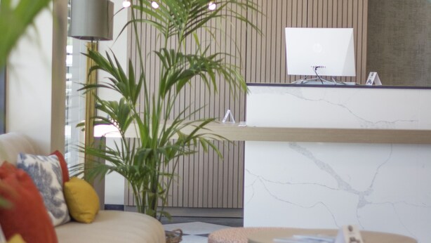 A modern reception area with a marble counter, a sofa with colorful cushions, a large potted plant, and a patterned floor.
