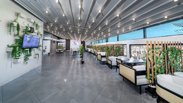Un restaurante moderno con una barra larga, luces en el techo y plantas de interior.