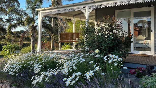 A covered outdoor area with a wooden bench, surrounded by white and purple flowers, and a view of a house with a glass door. - Bylands Cottage. Historic home with Tambo River views (Swan Reach)