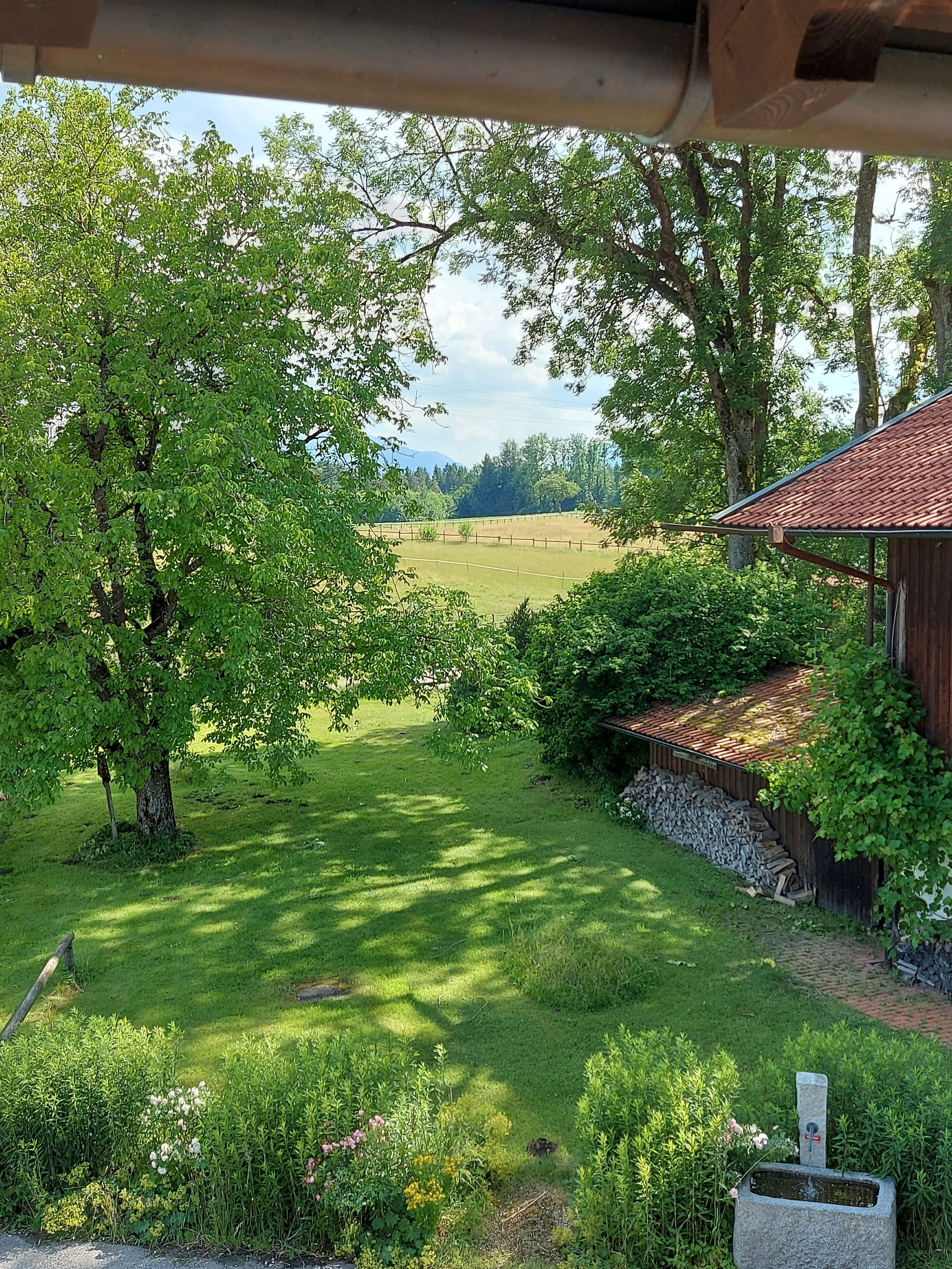 المنطقة المحيطة بالمنشأة