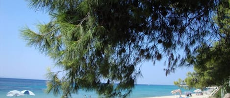 Apartment | Beach