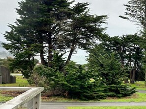 Zona residencial con un gran árbol de coníferas, una terraza de madera y vista al océano.