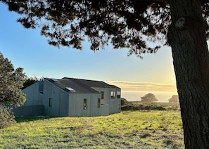 A modern house with a sloped roof, surrounded by a grassy field and a tree.