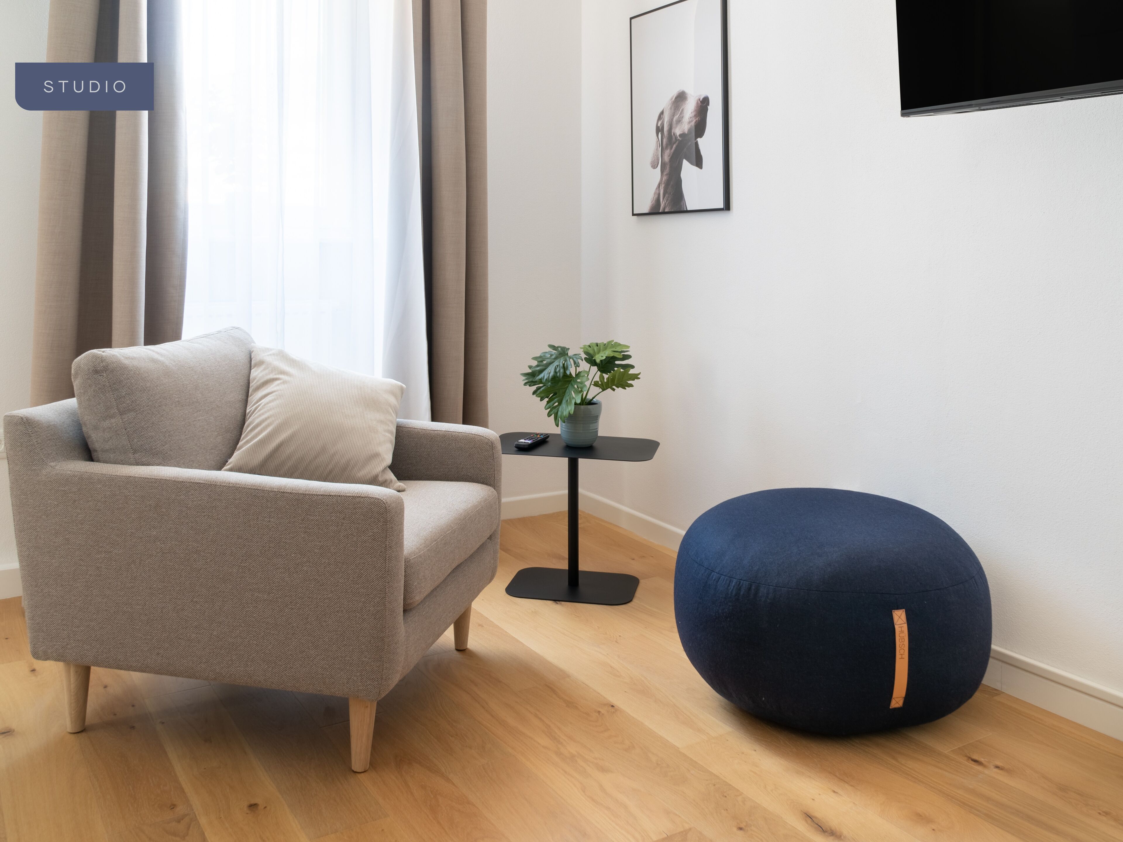 A modern living room with a grey sofa, a blue bean bag, a small table with a plant, and a framed picture on the wall.
