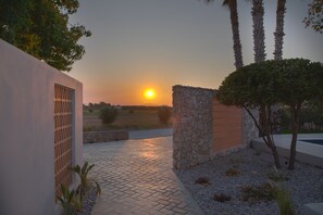 Design-Suite | Terrasse/Patio