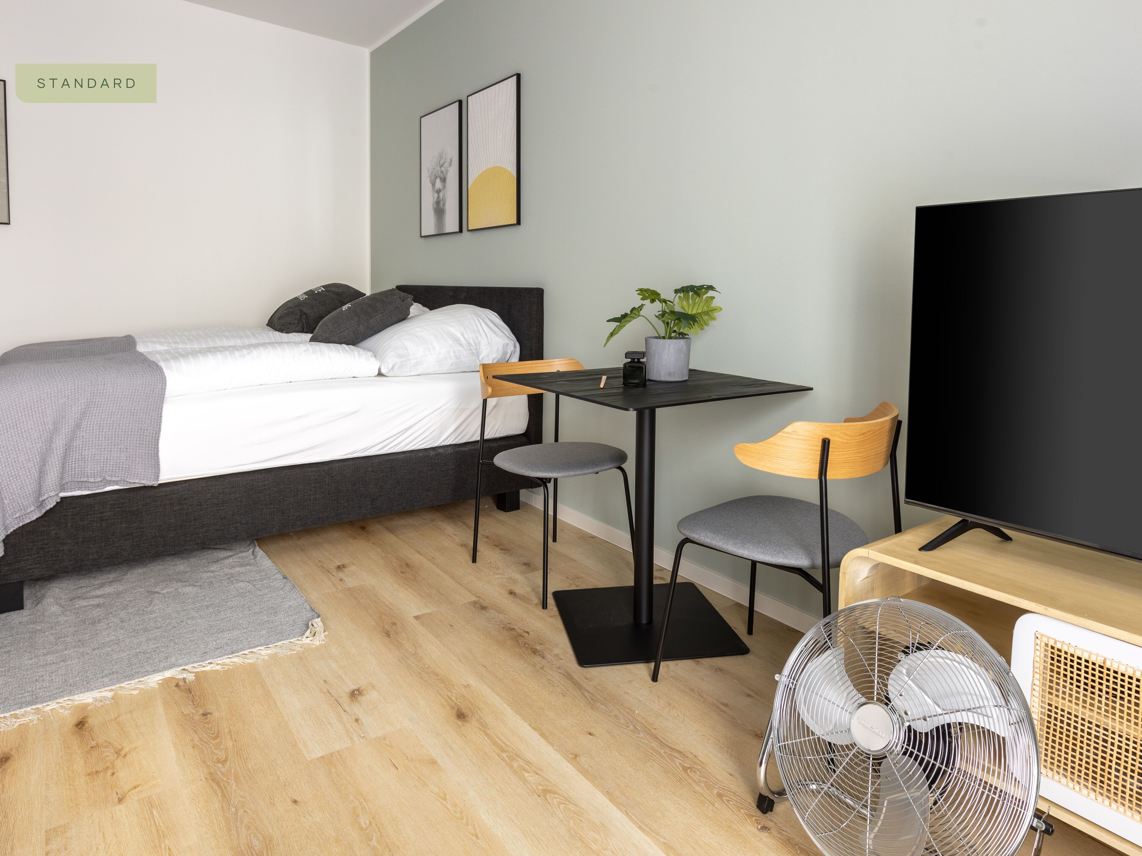 A modern bedroom with a bed, a small table with a plant, a chair, a TV, and a fan.