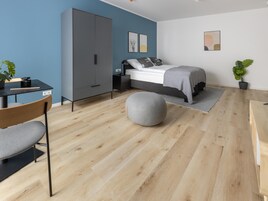 Junior Suite | Free WiFi, bed sheets