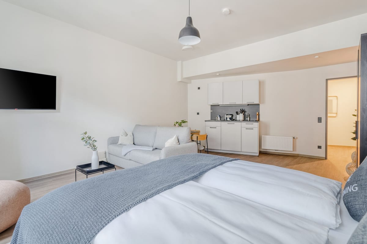 A modern bedroom with a large bed, a grey sofa, a small table with a plant, and a kitchen area in the background.