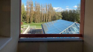 Blick aus einem Fenster auf ein Solardach und eine begrünte Fläche mit Bäumen.