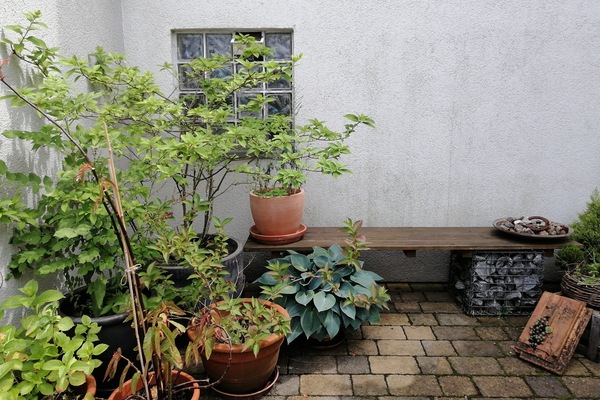 Sitzbereich im grünen Innenhof