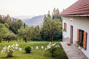 A house with a stone pathway leading to the entrance, surrounded by a lush garden with various trees and flowering plants. - Cozzy challet in the nature (Vitanje)