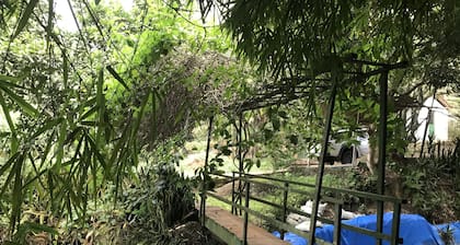 San Francisco Site, Nature and Complete Structure
