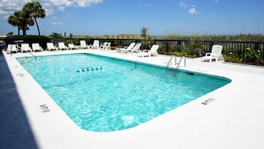 Une piscine rectangulaire, avec des chaises longues blanches et un palmier en arrière-plan.